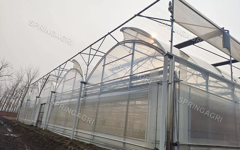 150 Mikros PO-Gewächshaus mit transparenter Folie