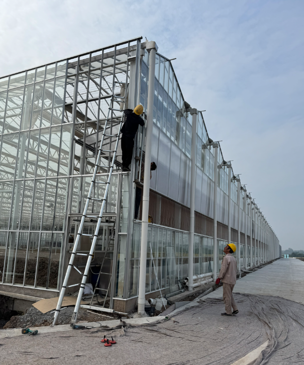 Unser Mehrfeld-Glasgewächshaus steht kurz vor der Fertigstellung