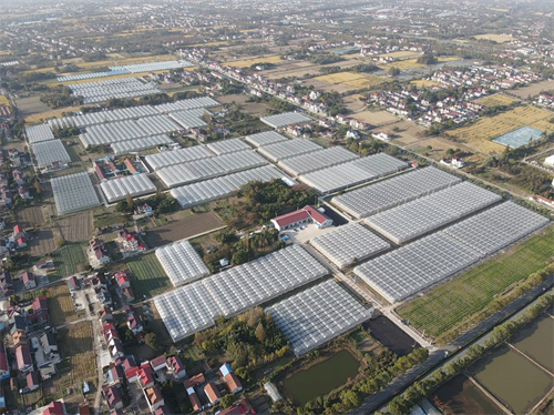 Der Fünfzehnte Fünfjahresplan hat zu einer kräftigen Entwicklung der landwirtschaftlichen Betriebe beigetragen