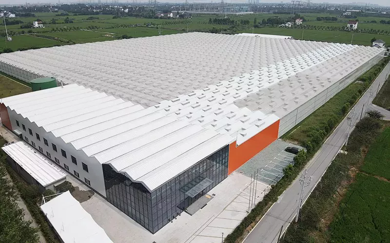 Was sind die Funktionen und Verwendung von Glas Gewächshaus?