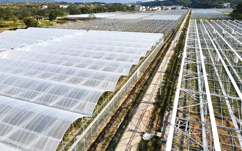 Erkunden Sie den Kamm - belüftetes Plastik -Gewächshaus, um die Produktion zu erhöhen und das Problem der hohen Temperatur zu lösen