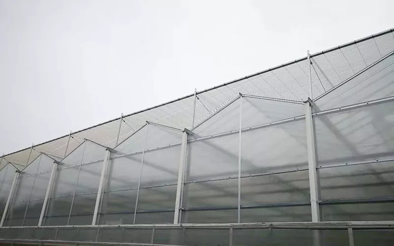 Fortschrittliche PC -Gewächshaus -Technologie Pioniere nachhaltige Landwirtschaft