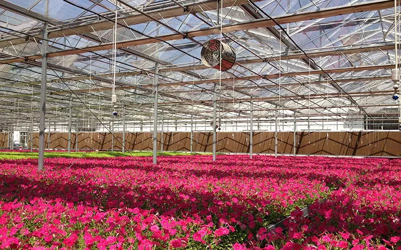 Blumengewächshaus aus gehärtetem und Floatglas