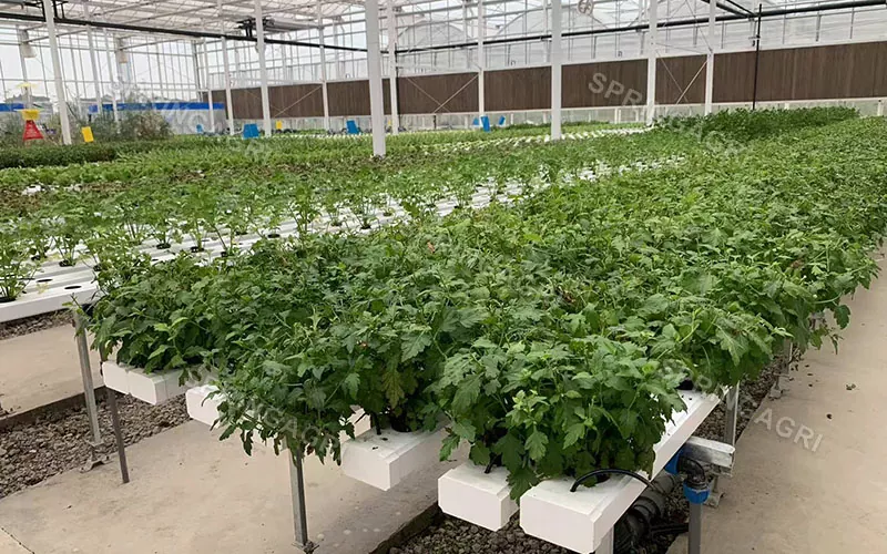 Vertikale NFT-Farming-Hydrokultur-Anbausysteme